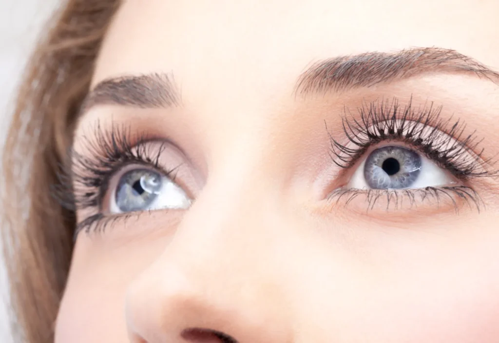 Lash & Eyebrow Lifting bei Skin Art Cosmetics
